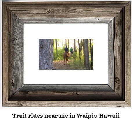 trail rides near me in Waipio, Hawaii